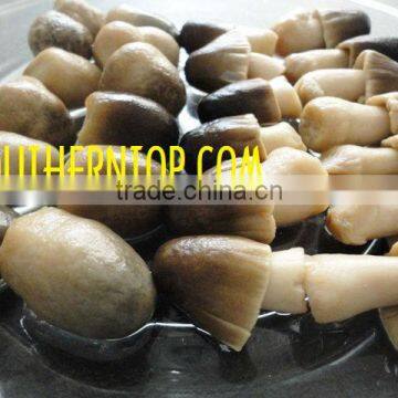 VIetnam Straw Mushroom