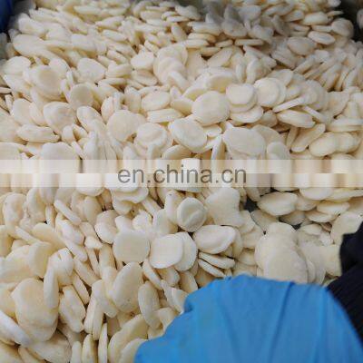 Frozen Water Chestnut Slice Canned