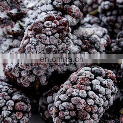 Healthy Taste Good Frozen Mulberry Freeze Mulberry photo-4