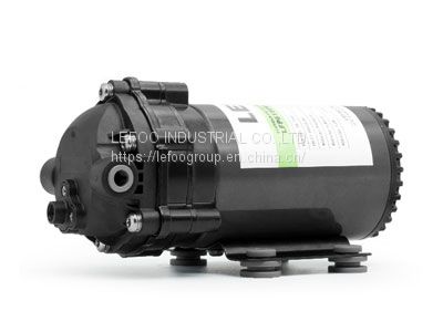 DIAPHRAGM BOOSTER PUMP 115V