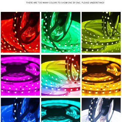 DC36V UCS2904 RGBW pixel flex led light strip Digital RGBW Full color LED Strip Light