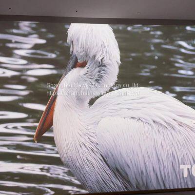 Smart Projecor photo-3