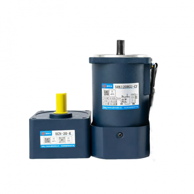 110v 220v AC Gear Motor 60w Constant Speed Motor With Gear Reduction Box
