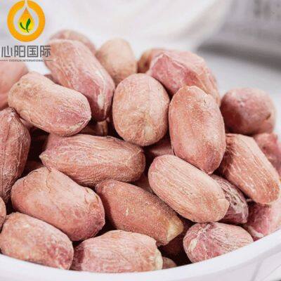Crop Blanched Peanut Kernels White Skin Peanut Kernels