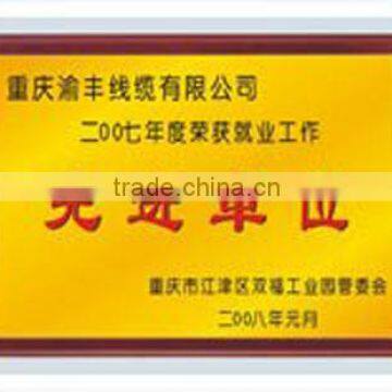 Employment Advanced Unit