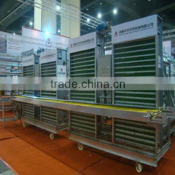 Automatic Egg Collecting System China Supplier