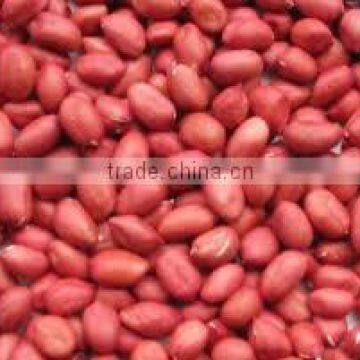 Raw Peanuts Kernel