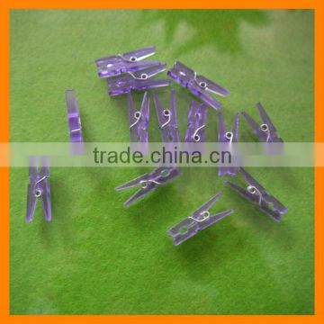 Small Transparent Plastic Peg