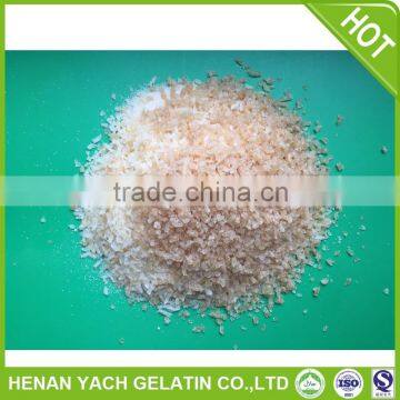 Professional animal gelatin glue with high quality