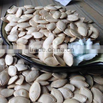High Quality Wholesale Shine Skin Pumpkin Seeds photo-3
