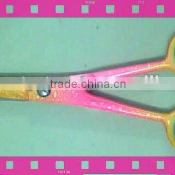 Barber Hair Scissors