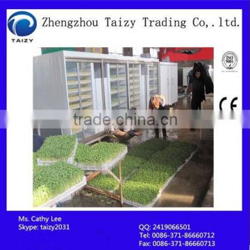 Professional bean sprout growing machine/grow bean sprout machinery 008613673629307