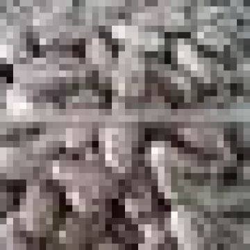speckled Kidney Beans CHINA with good appearance for sale