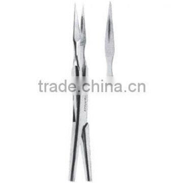 Best Quality Root Splinter Extracting Forceps , Dental instruments