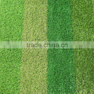 Wholesale Artificial Grass Artificial Turf Grass Football Artificial Grass