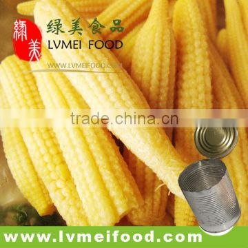 Baby Corn Whole in Brine