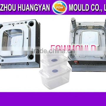 OEM custom injection disposable container mould manufacturer