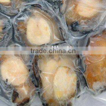 fresh frozen abalone meat wholesale