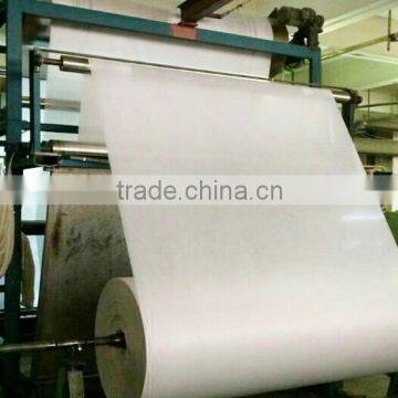 China 100% Polyester Woven fabric with Hot melt adhesive for garment Interlining