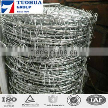 Cheap Hot Dipped Galvanized Barbed Wire Length per Roll photo-3