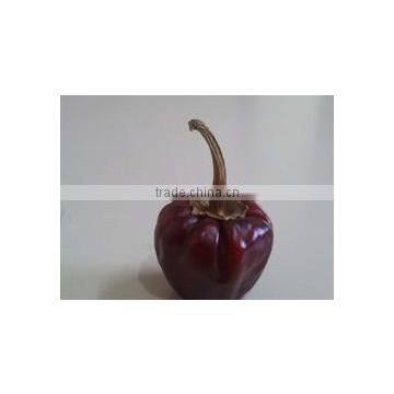Round Chilli From SouthIndia photo-2