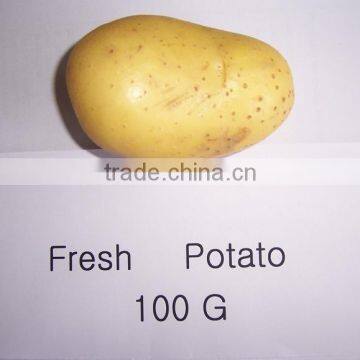 Price of Fresh Potato From Shandong Farmland