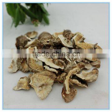 Dehydrated Shiitake Mushroom Slice