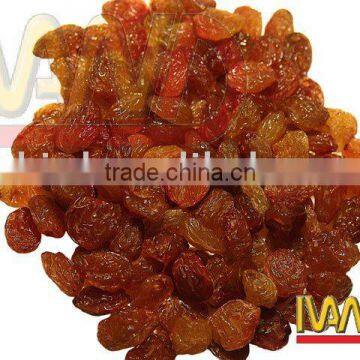 dried fruit, sweet dried raisin