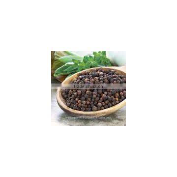 Black Pepper Essential Oil