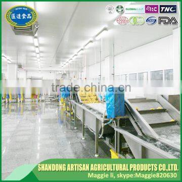 Frozen IQF Ginger photo-4