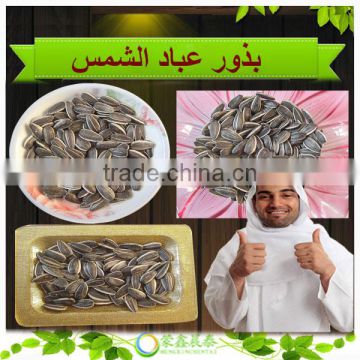 New Arrival High Quality Hulled Striped Black Turkish Sunflower Seeds In Shell