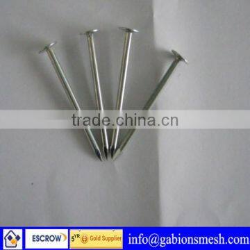 High quality,low price,common round iron nails,passed ISO9001,CE,SGS certificate