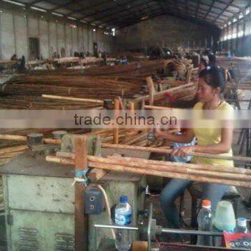 Rattan Raw Material