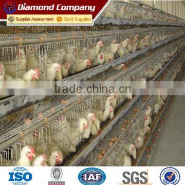 best quality A-Type Galvanized Layer Chicken Cage