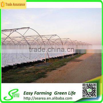 Gutter Height Commercial Polycarbonate Greenhouse for Used photo-3