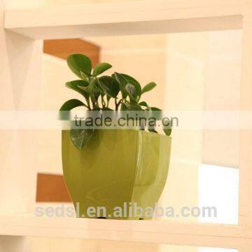 " TOP 1 Pot Supplier" Decoration Container Homes for Sale Home Gardening Plastic Pots photo-6