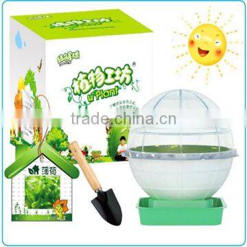 Easy Hydroponic Growing System Kits for Kids With EN71