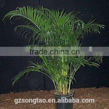 Indoor Foliage Artificial Plant Artificial Potted Plants photo-3