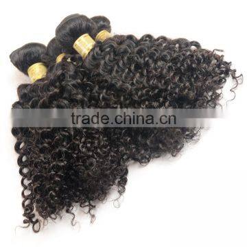Unprocessed Virign Indian Human Hair Weaves Curly Wholesale Kinky Curly Indian Hair Extensions photo-3