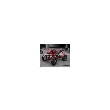 2-Rider 250CC Racing ATV/Quad (EEC Approval)