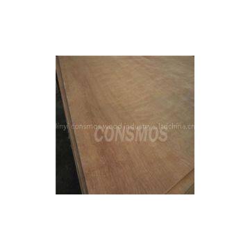 gurjan/keruing plywood for indian market