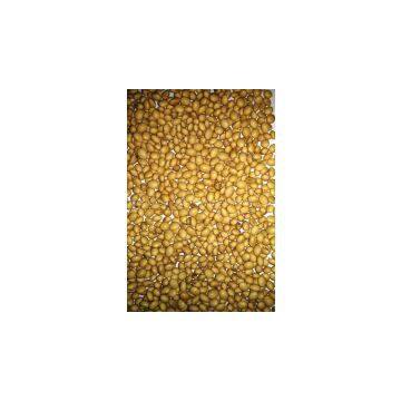 Soya Bean