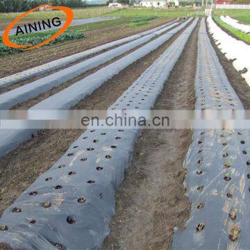 Non Woven Agricultural plastic mulch film with hole  layer 8 micron