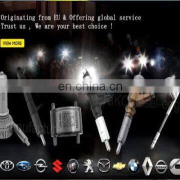 ERIKC 0445120007 diesel fuel nozzle injector DSLA140P1723 and EJBR03301D EJBR05301D common rail injector pump nozzle L281PBD