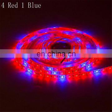 China Led Phyto Lamps DC12v Grow Flexible Light Strip Full Spectrum for Plants Flowers Greenhouses Hydroponic