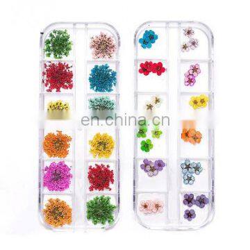 Factory wholesale nail flower 3d dry flowers art dried for sale