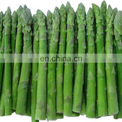 Chinese famous brand factory price good quality IQF frozen green asparagus