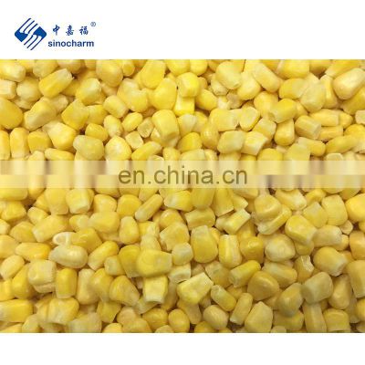 Sinocharm BRC-A approved New Crop Variety 903 Jinfei Huazhen Super Sweet IQF Frozen Sweet Corn Kernels