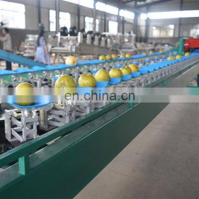 Automatic Apple Orange Peach Tomato Avocado Potato Grading Fruit Sorting Machine photo-4