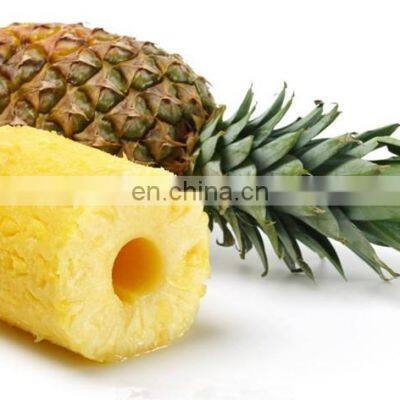 High Quality Pineapple Processing Machine for Peeling Cutting Slicing photo-5